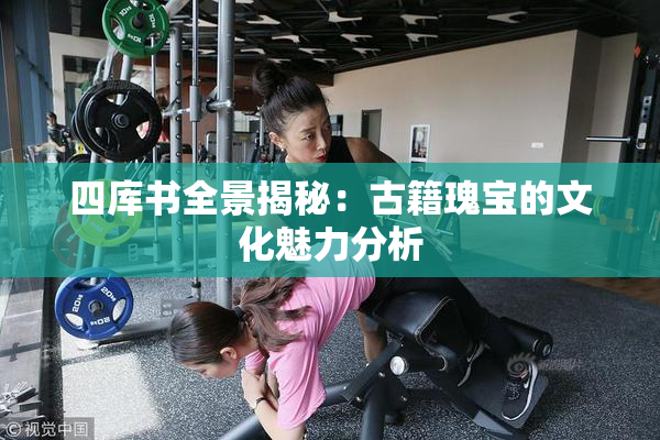 四库书全景揭秘：古籍瑰宝的文化魅力分析