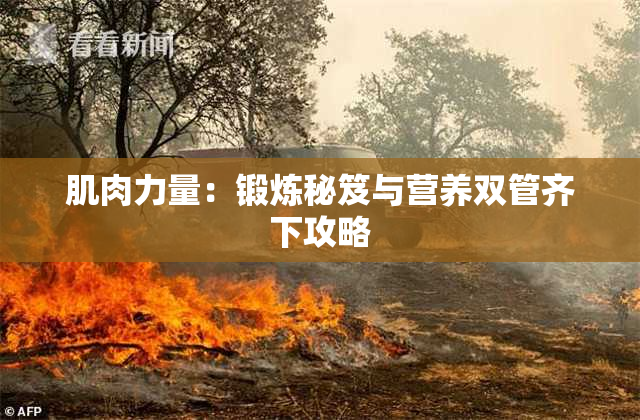 肌肉力量：锻炼秘笈与营养双管齐下攻略