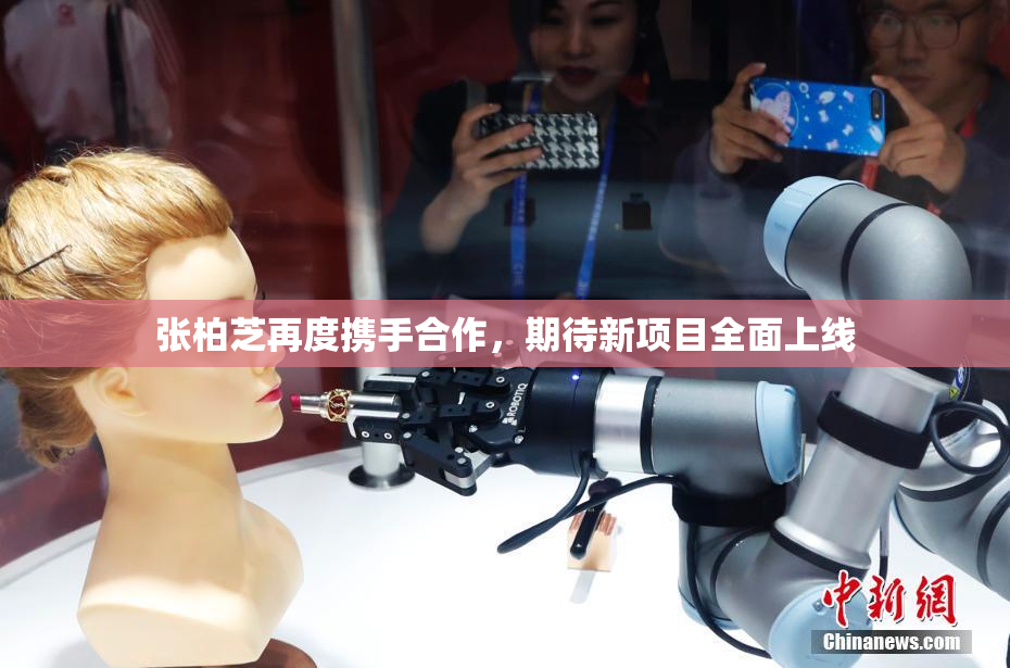张柏芝再度携手合作，期待新项目全面上线