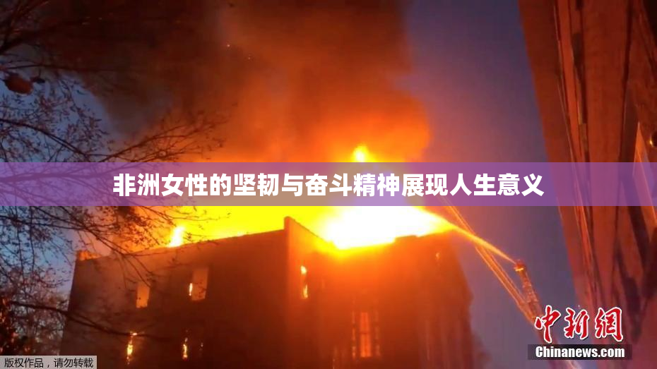 非洲女性的坚韧与奋斗精神展现人生意义