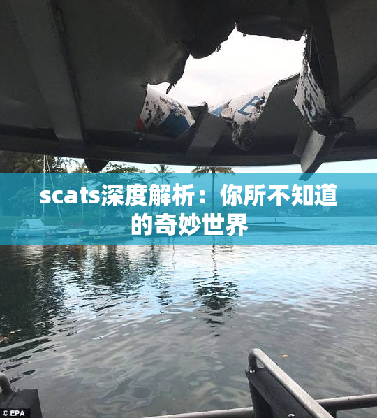 scats深度解析：你所不知道的奇妙世界
