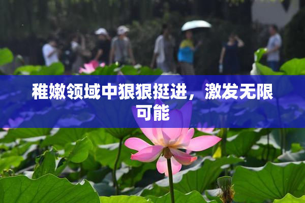稚嫩领域中狠狠挺进，激发无限可能