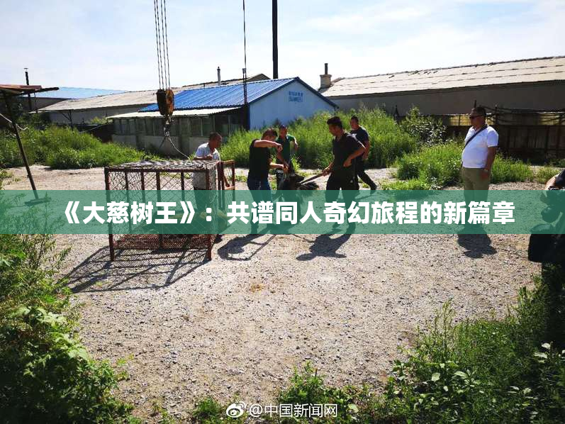 《大慈树王》：共谱同人奇幻旅程的新篇章