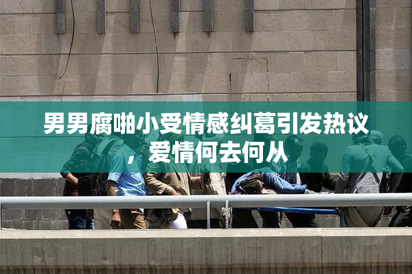男男腐啪小受情感纠葛引发热议，爱情何去何从