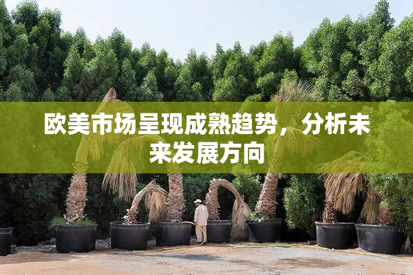 欧美市场呈现成熟趋势，分析未来发展方向