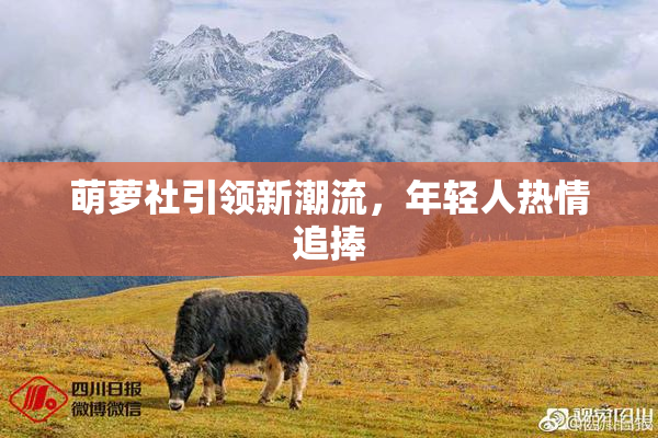 萌萝社引领新潮流，年轻人热情追捧