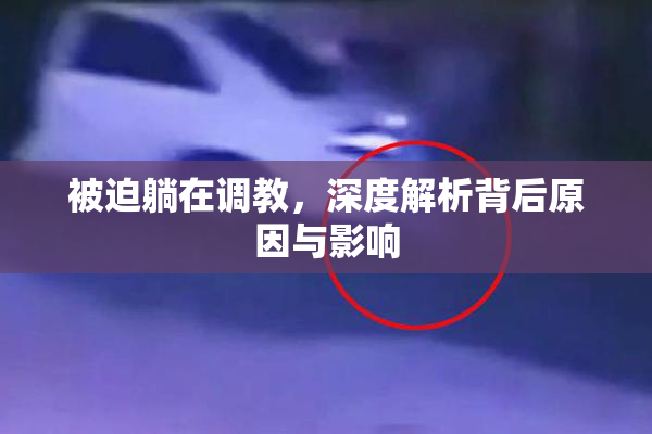 被迫躺在调教，深度解析背后原因与影响