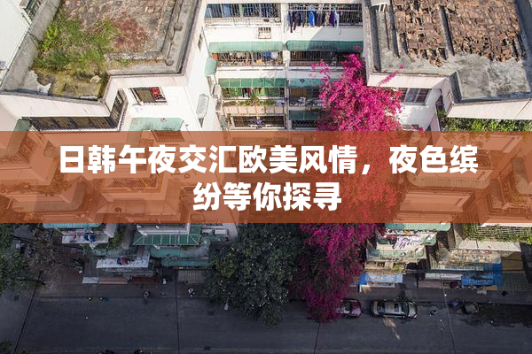 日韩午夜交汇欧美风情，夜色缤纷等你探寻