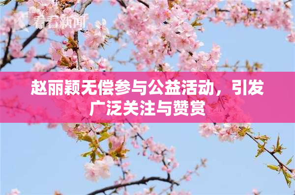 赵丽颖无偿参与公益活动，引发广泛关注与赞赏