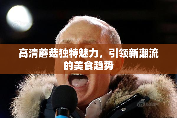 高清蘑菇独特魅力，引领新潮流的美食趋势