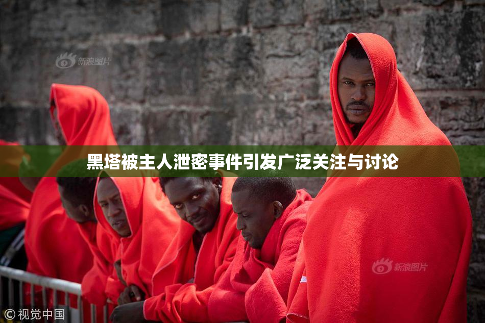 黑塔被主人泄密事件引发广泛关注与讨论