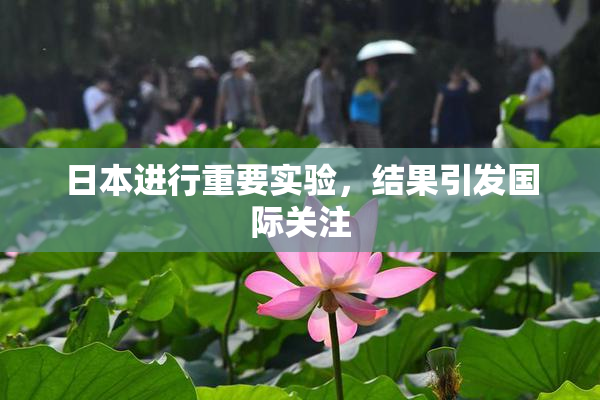 日本进行重要实验，结果引发国际关注