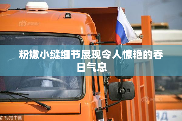 粉嫩小缝细节展现令人惊艳的春日气息