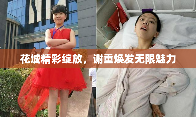 花城精彩绽放，谢重焕发无限魅力