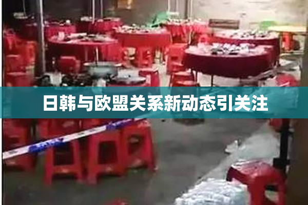 日韩与欧盟关系新动态引关注