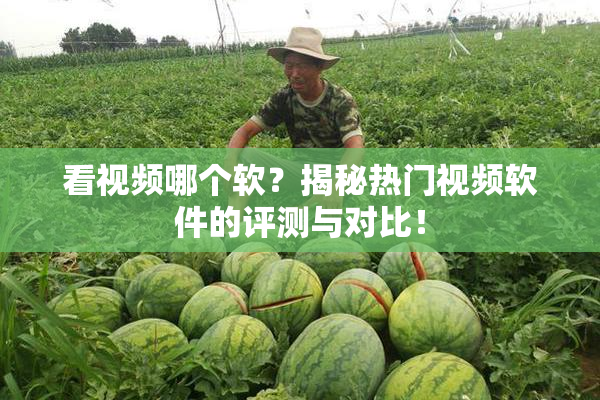 看视频哪个软？揭秘热门视频软件的评测与对比！