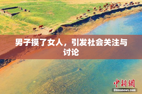 男子摸了女人，引发社会关注与讨论