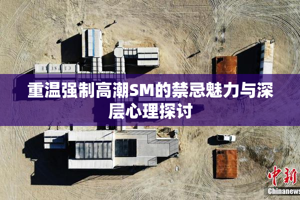 重温强制高潮SM的禁忌魅力与深层心理探讨