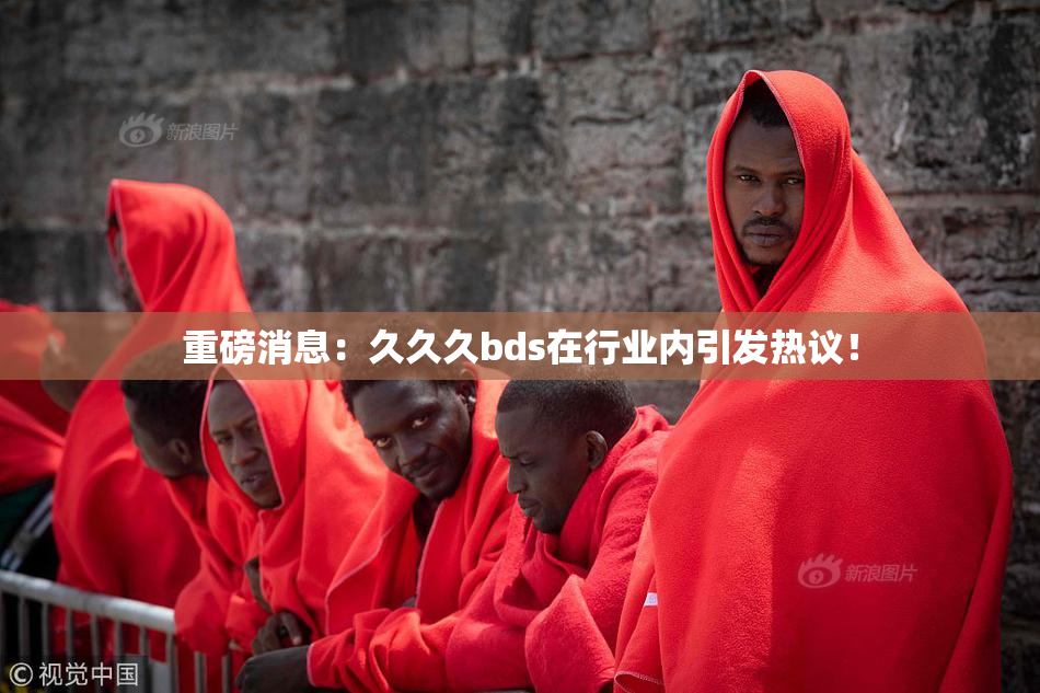 重磅消息：久久久bds在行业内引发热议！