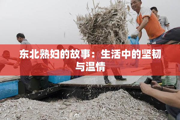 东北熟妇的故事：生活中的坚韧与温情