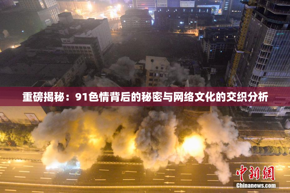 重磅揭秘：91色情背后的秘密与网络文化的交织分析