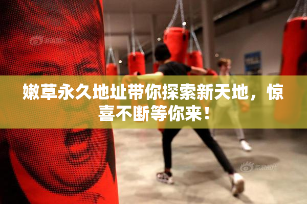 嫩草永久地址带你探索新天地，惊喜不断等你来！