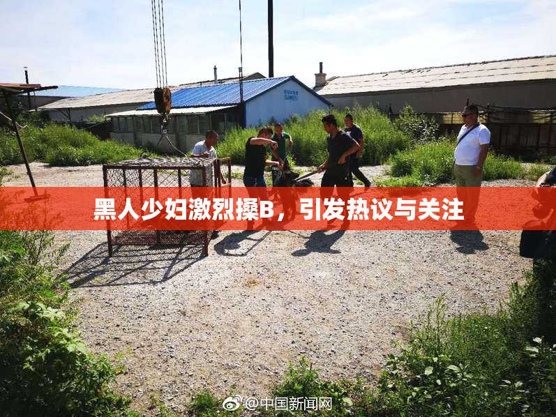 黑人少妇激烈搡B，引发热议与关注