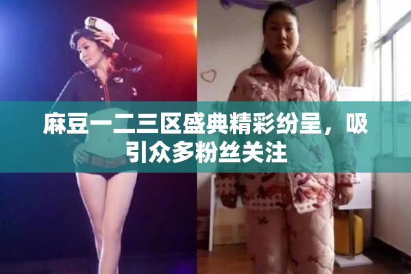 麻豆一二三区盛典精彩纷呈，吸引众多粉丝关注
