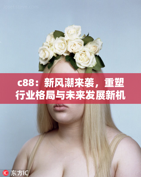 c88：新风潮来袭，重塑行业格局与未来发展新机遇
