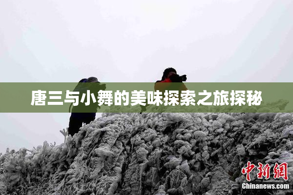 唐三与小舞的美味探索之旅探秘