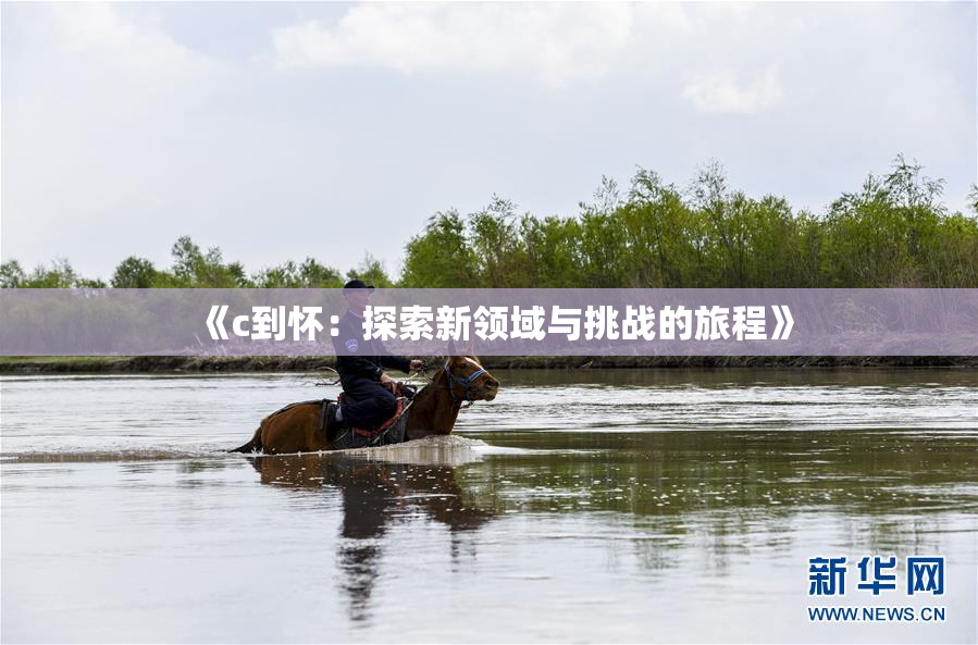 《c到怀：探索新领域与挑战的旅程》