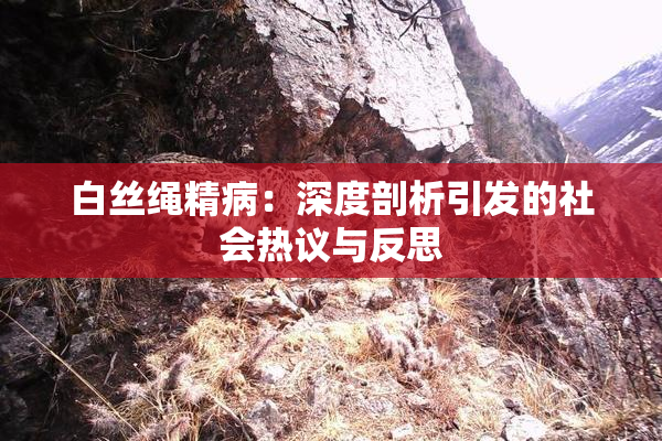 白丝绳精病：深度剖析引发的社会热议与反思