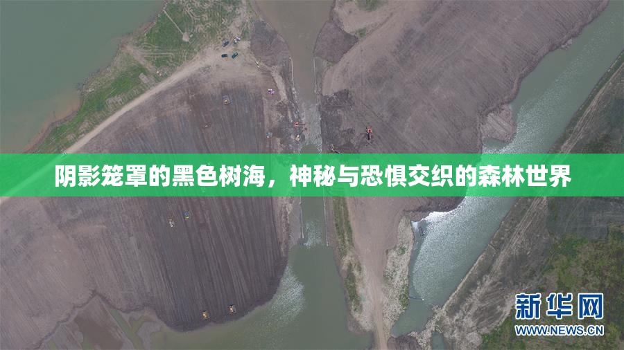 阴影笼罩的黑色树海，神秘与恐惧交织的森林世界