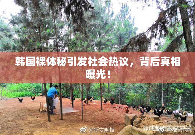 韩国裸体秘引发社会热议，背后真相曝光！
