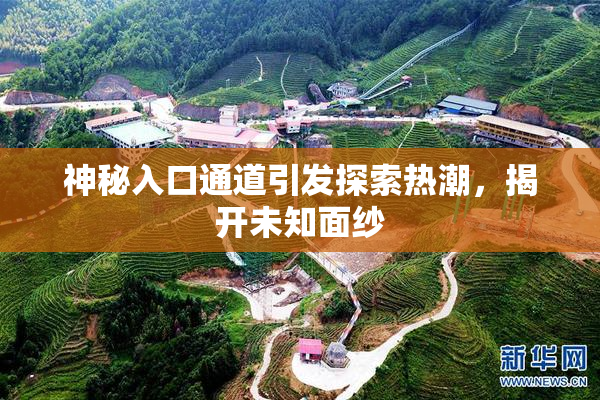 神秘入口通道引发探索热潮，揭开未知面纱