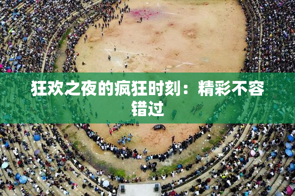狂欢之夜的疯狂时刻：精彩不容错过