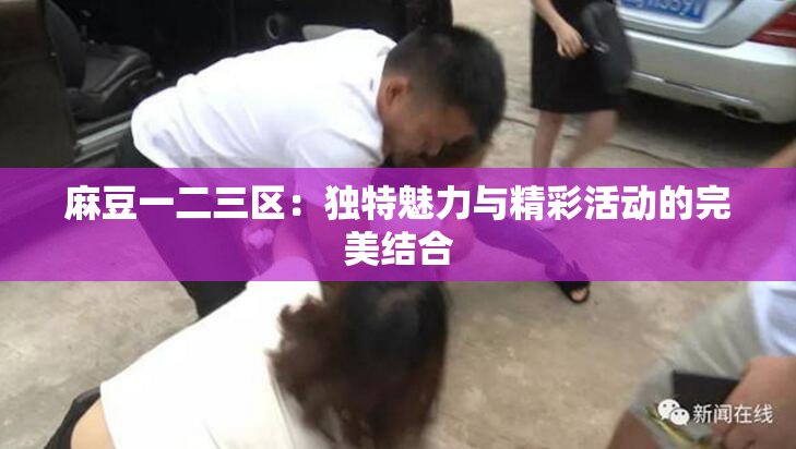麻豆一二三区：独特魅力与精彩活动的完美结合