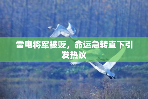 雷电将军被贬，命运急转直下引发热议