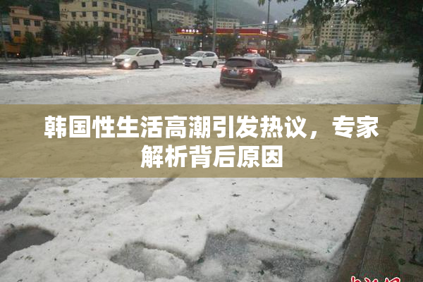 韩国性生活高潮引发热议，专家解析背后原因
