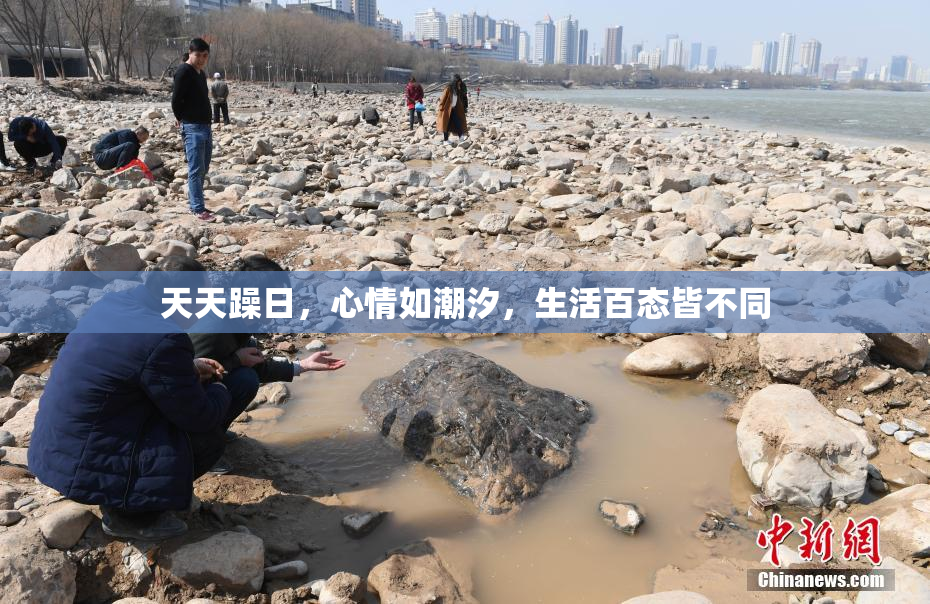 天天躁日，心情如潮汐，生活百态皆不同