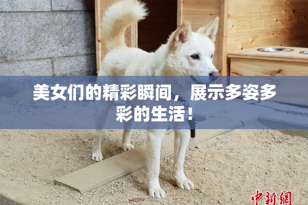 美女们的精彩瞬间，展示多姿多彩的生活！