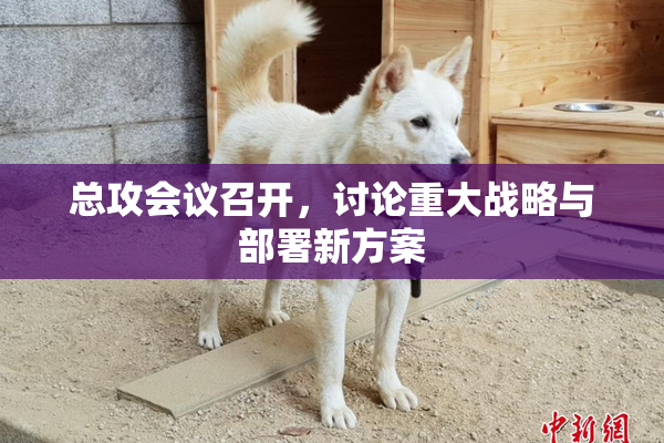 总攻会议召开，讨论重大战略与部署新方案