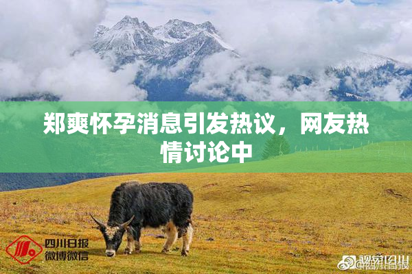郑爽怀孕消息引发热议，网友热情讨论中