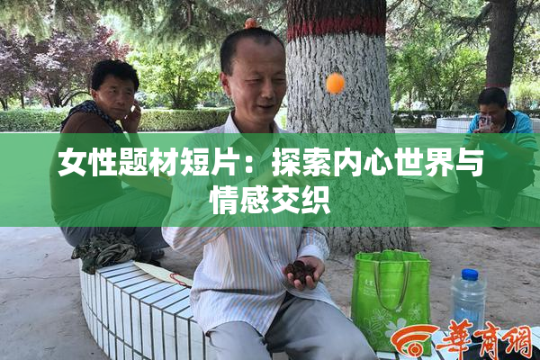 女性题材短片：探索内心世界与情感交织