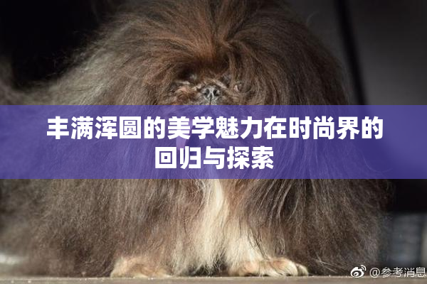 丰满浑圆的美学魅力在时尚界的回归与探索