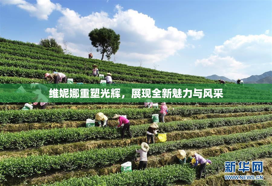 维妮娜重塑光辉，展现全新魅力与风采