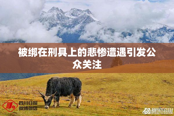 被绑在刑具上的悲惨遭遇引发公众关注
