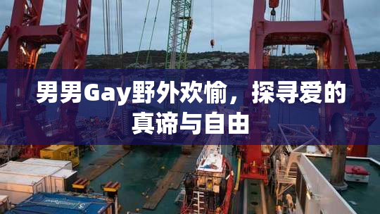 男男Gay野外欢愉，探寻爱的真谛与自由