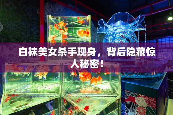 白袜美女杀手现身，背后隐藏惊人秘密！