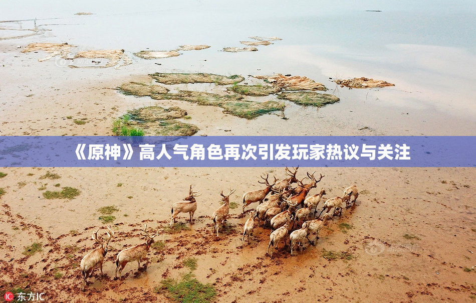 《原神》高人气角色再次引发玩家热议与关注
